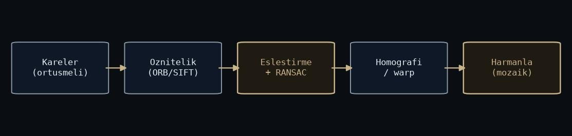 Stitching pipeline flow from raw frames to blended mosaic