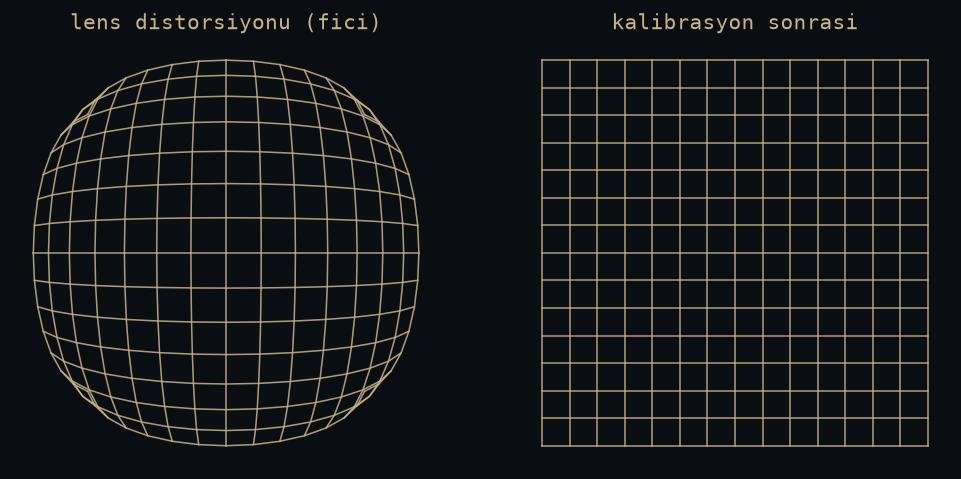 Checkerboard views and the undistorted frame produced by camera calibration